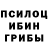 Галлюциногенные грибы Cubensis Alexey Yarovoy