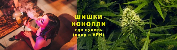 сатива Балахна
