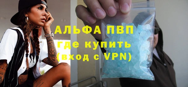 сатива Балахна