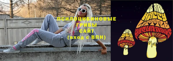 сатива Балахна