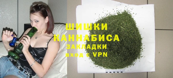 сатива Балахна
